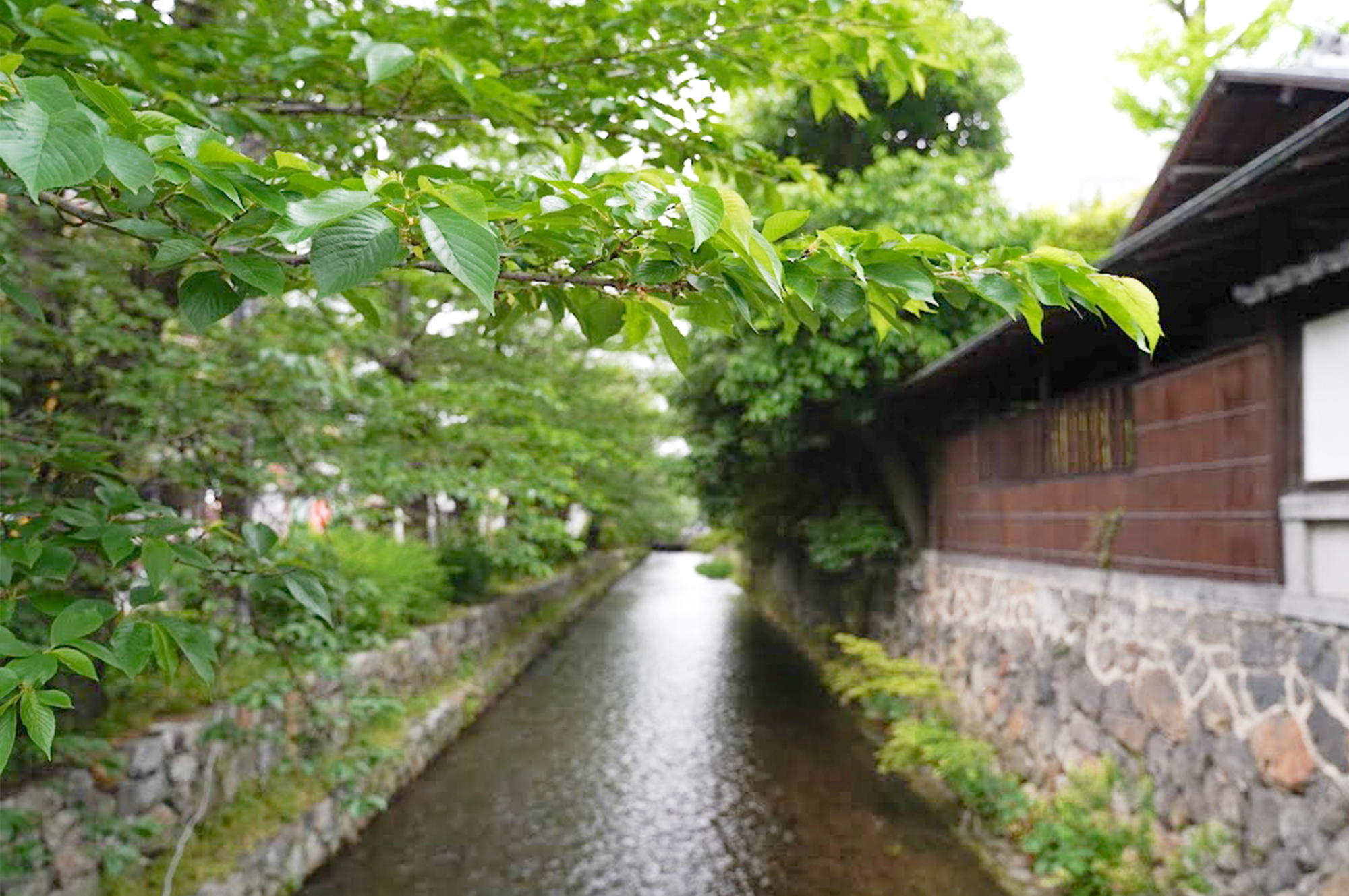 MV画像